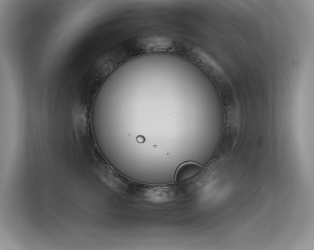 X0000113350761200909151153