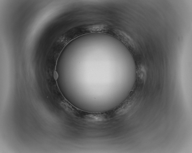 X0000113350763200909151153