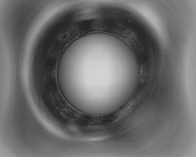 X0000113350765200909151153