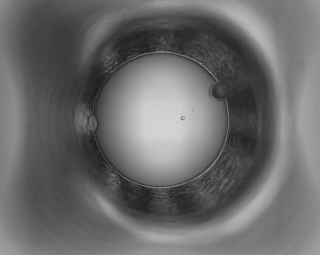 X0000113350766200909151153