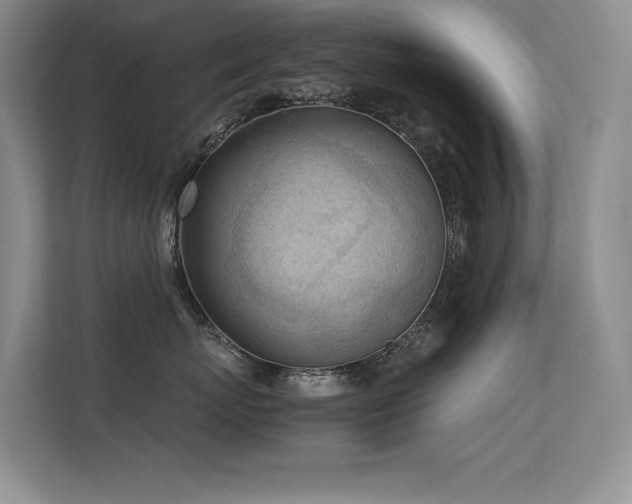 X0000113350767200909151153