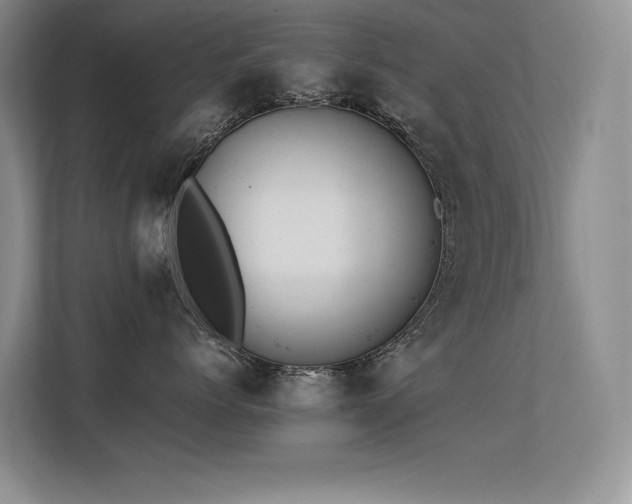 X0000113350768200909151153