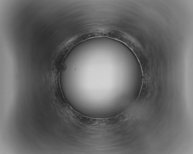 X0000113350773200909151153