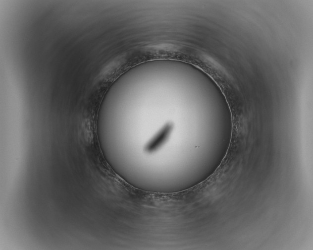 X0000113350774200909151153