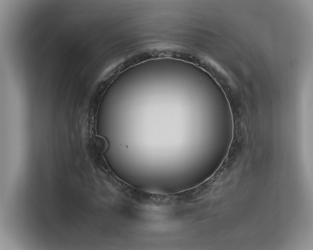 X0000113350775200909151153