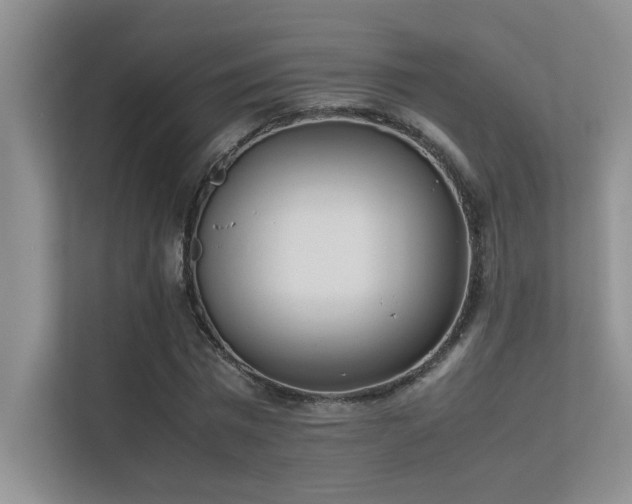 X0000113350777200909151153