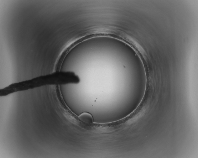 X0000113350779200909151153