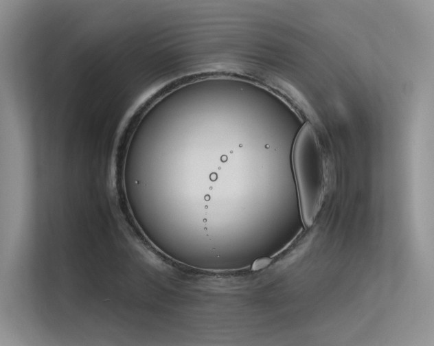 X0000113350780200909151153