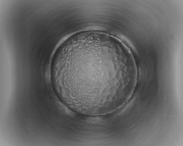 X0000113350784200909151153
