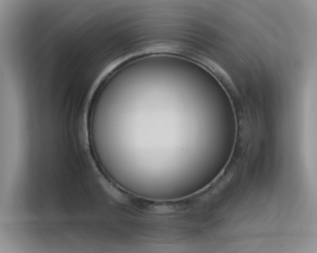 X0000113350792200909151152