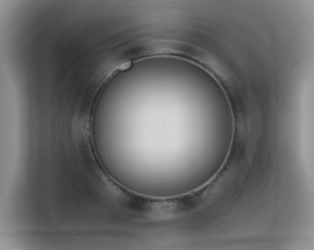 X0000113350793200909151152