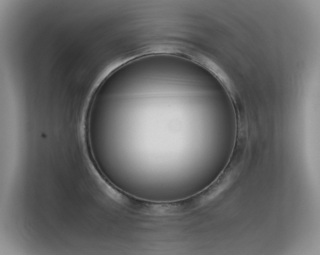 X0000113350803200909151152