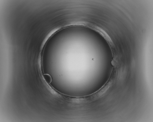 X0000113350804200909151152