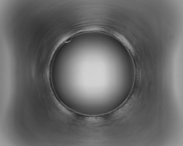 X0000113350805200909151152