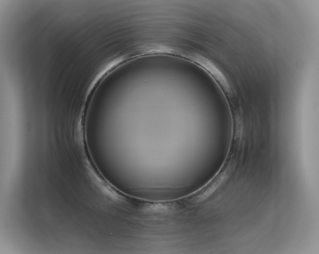 X0000113350806200909151152