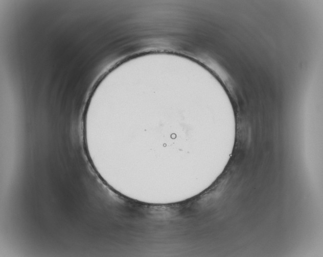 X0000113350807200909151152