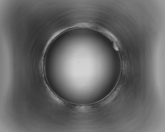 X0000113350808200909151152