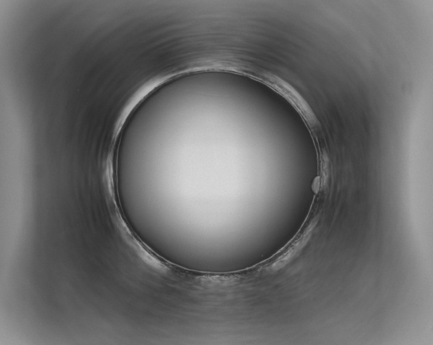 X0000113350812200909151152