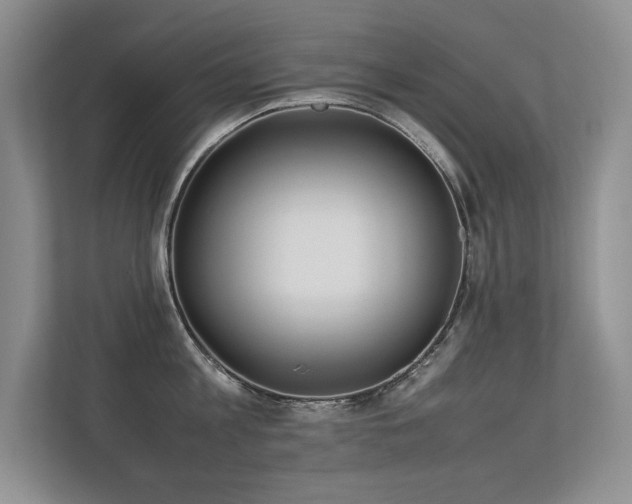X0000113350813200909151152