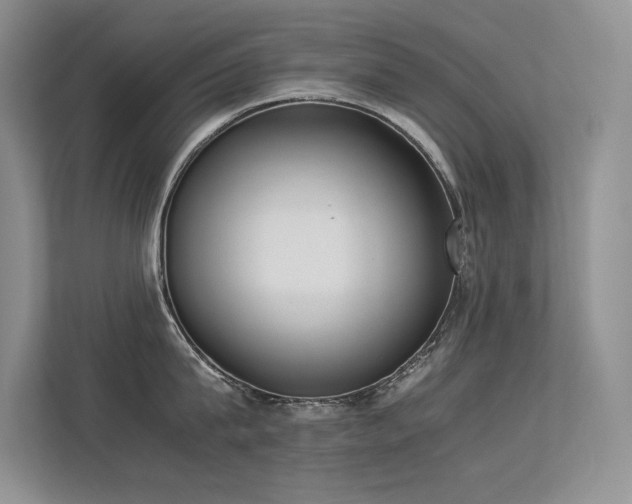 X0000113350815200909151152