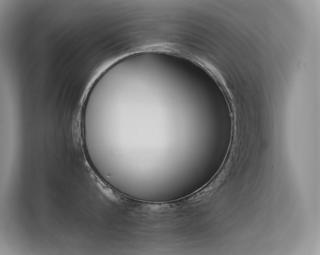 X0000113350816200909151152