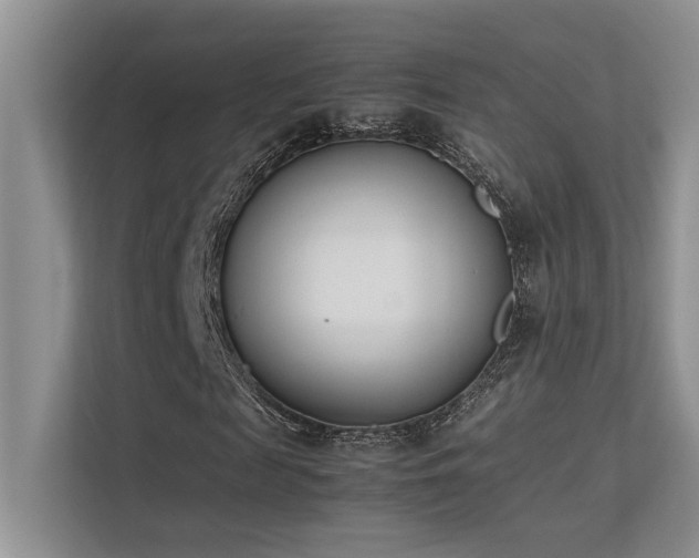 X0000113350817200909151151