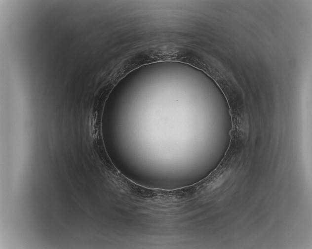 X0000113350818200909151151