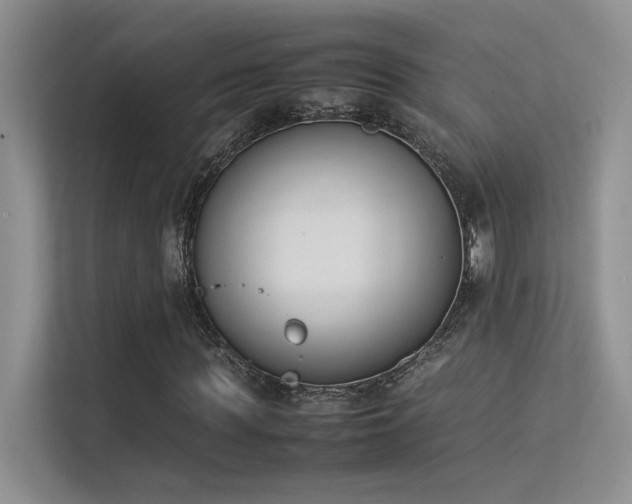 X0000113350819200909151151
