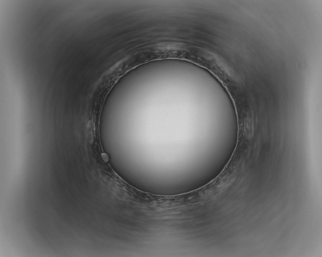 X0000113350821200909151152