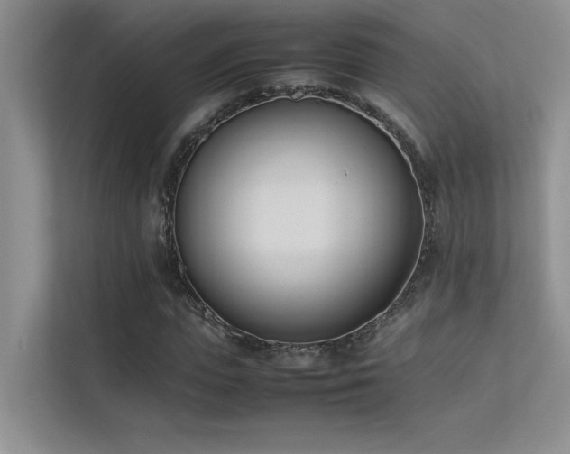 X0000113350823200909151152