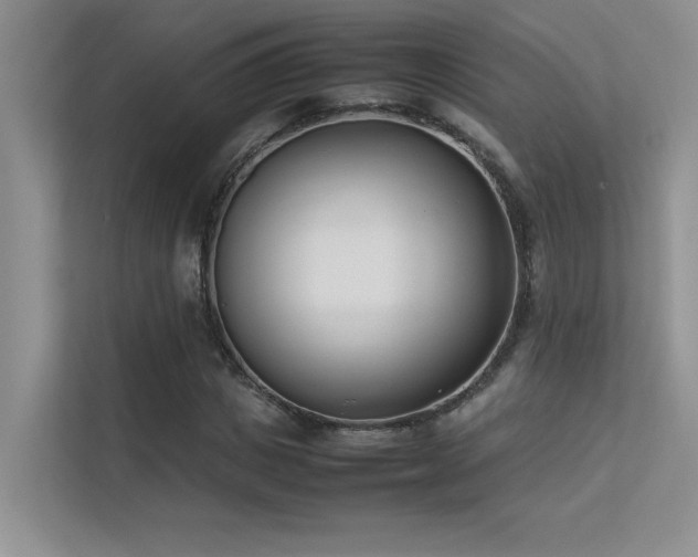 X0000113350825200909151152