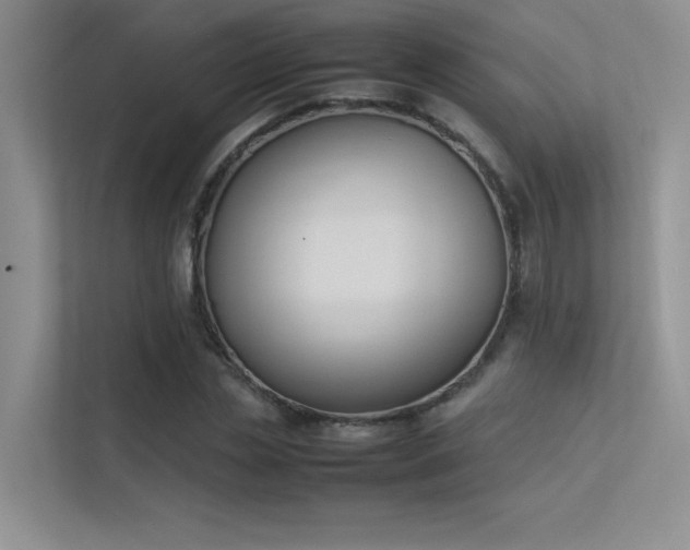 X0000113350829200909151152