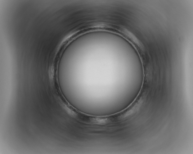 X0000113350831200909151152