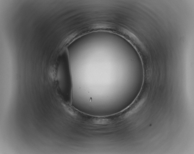X0000113350833200909151152