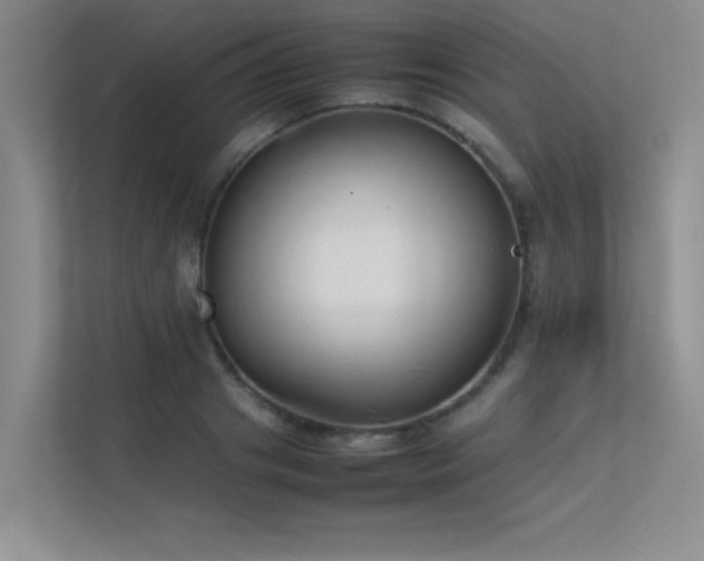 X0000113350841200909151152