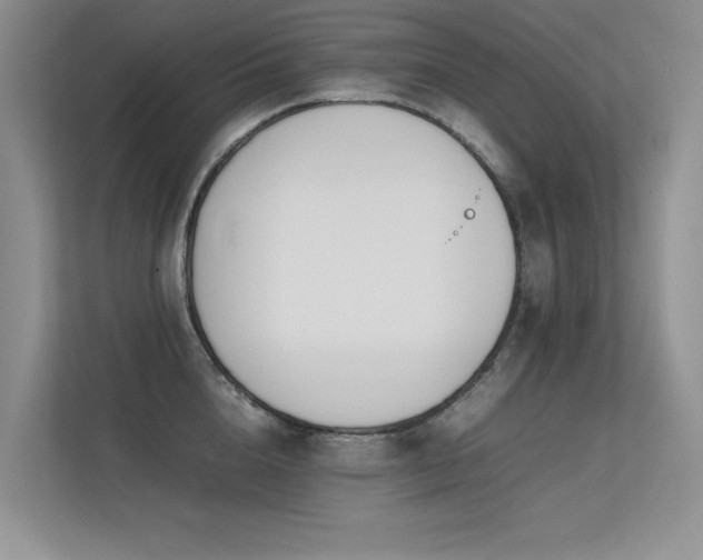 X0000113350856200909151152