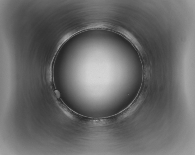X0000113350858200909151152