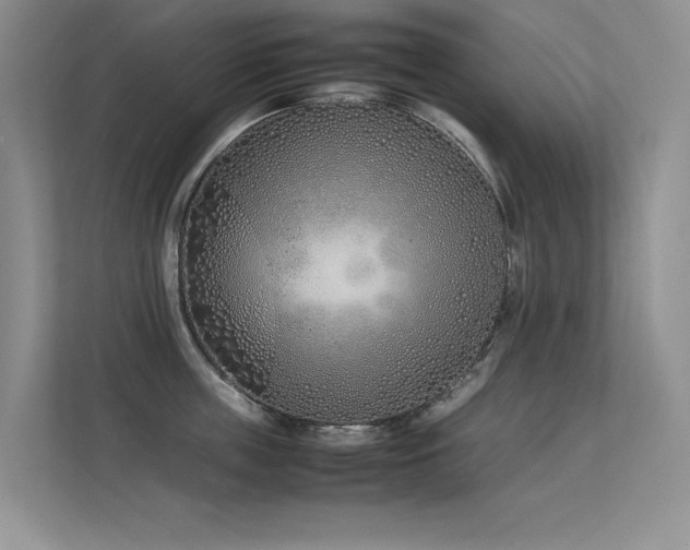 X0000113350859200909151152