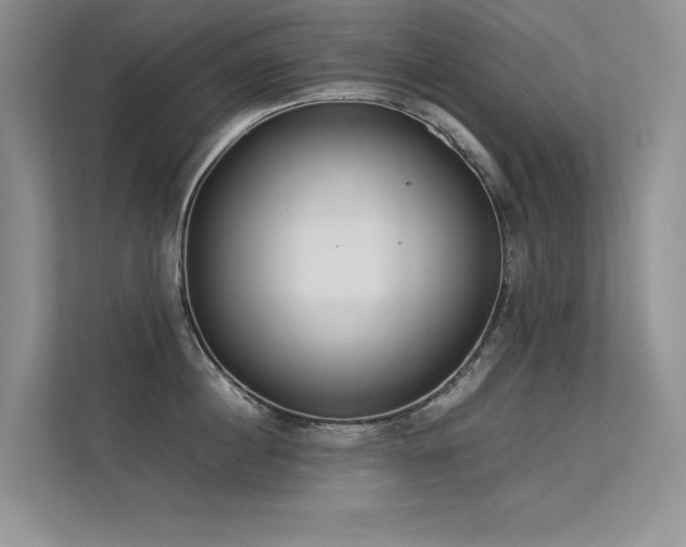 X0000113350860200909151152