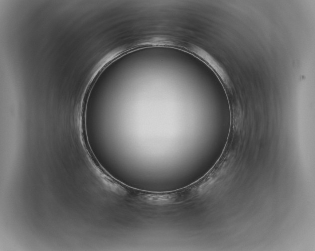 X0000113350861200909151152