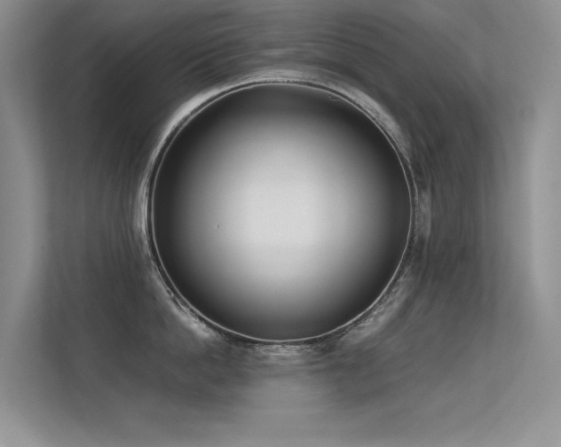 X0000113350862200909151152