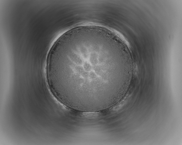 X0000113350863200909151152