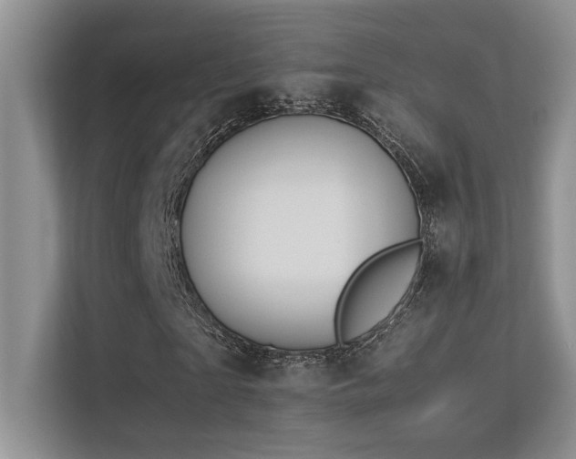 X0000113350865200909151151
