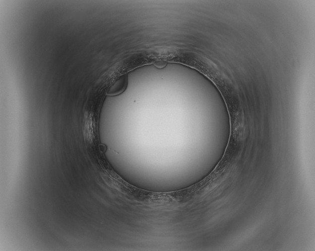 X0000113350866200909151151