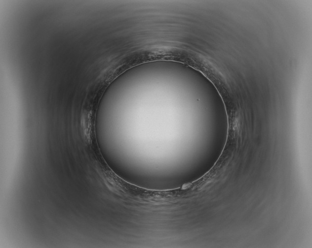 X0000113350868200909151151