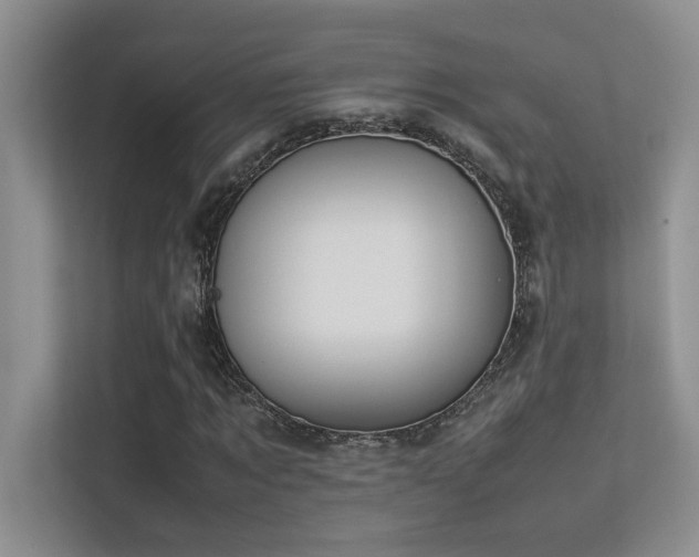 X0000113350869200909151151