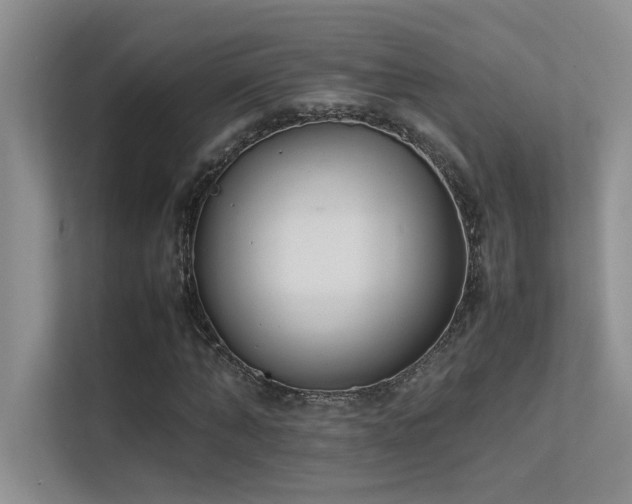 X0000113350870200909151151