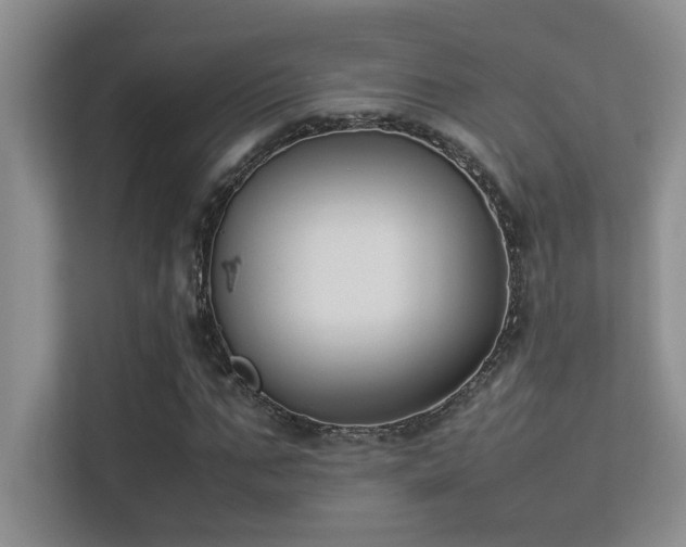 X0000113350871200909151151