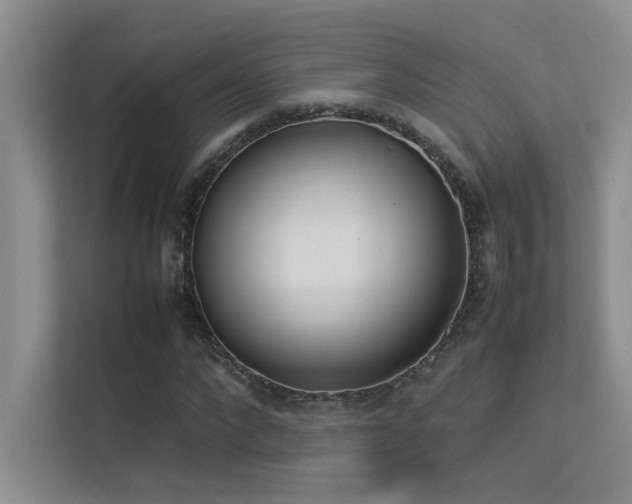 X0000113350872200909151151
