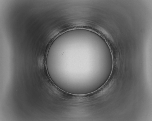 X0000113350873200909151151